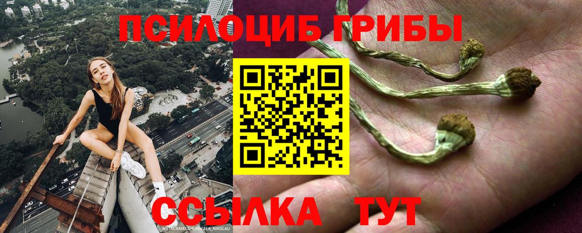 Галлюциногенные грибы прущие грибы Вологда